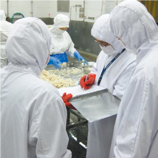 Factory audit at a frozen vegetable factory